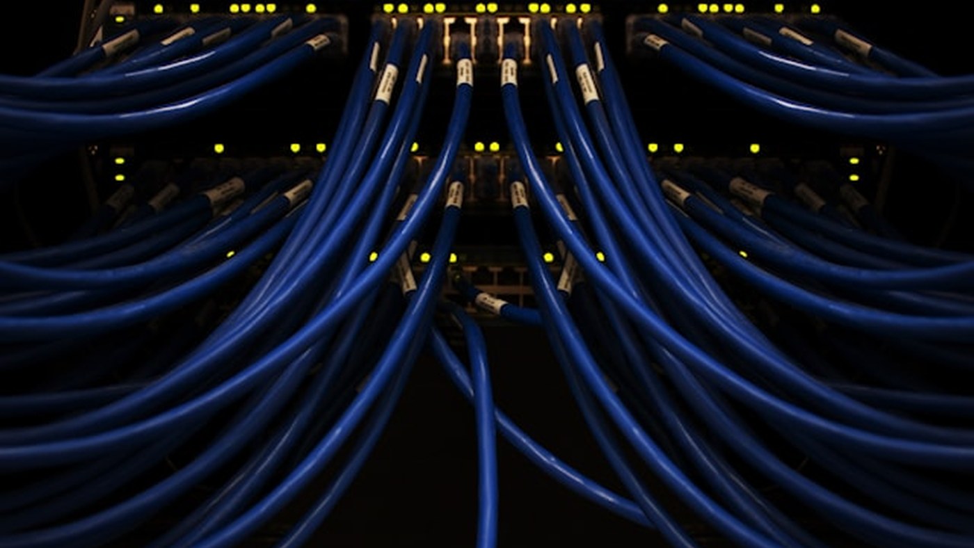 Network cables representing AI data centre infrastructure costs.